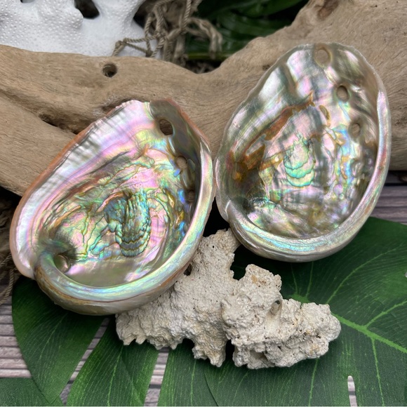 2 for 1 Special Seashells Lot 2 Interior Polished Abalone Shells Bundle Coastal - Picture 6 of 14